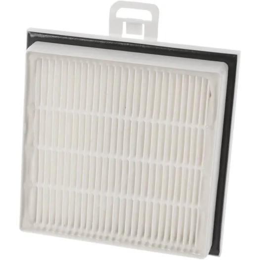 Filtro igienico HEPA Bosch 00579494