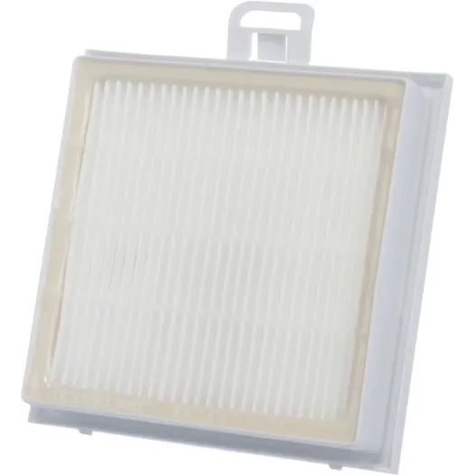 Bosch Filtro igienico ad alta efficienza HEPA 00578732