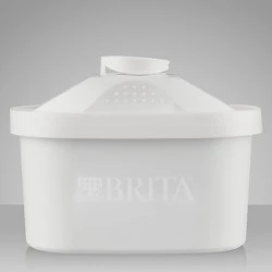 Filtro per l'acqua Bosch 463675