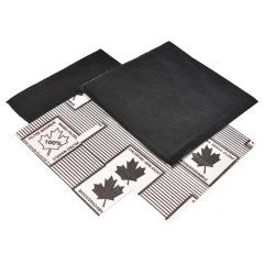 Filtro al carbone Alapure compatibile con Atag ACC914