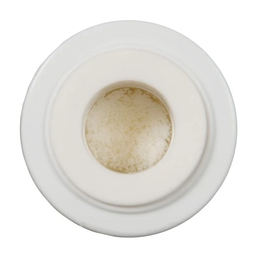 Alapure ALA-CTOHF10 Filtro per l'acqua di ricambio identico al modello US-E2 ALA-CTO10HF
