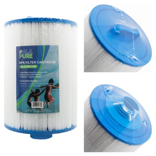 Filtro per acqua Alapure Spa compatibile con Magnum WY45