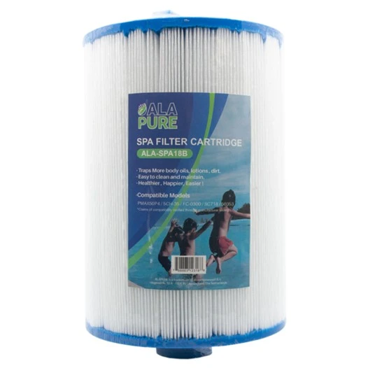 Filtro per l'acqua Alapure compatibile con Pleatco PMAX50P4