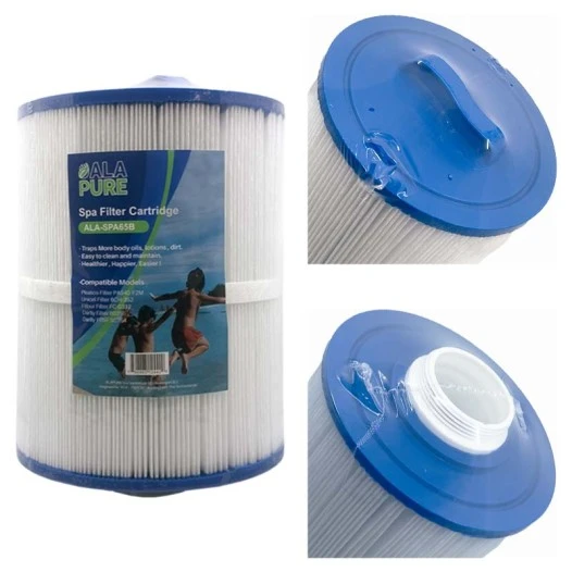 Filtro per acqua Alapure Spa compatibile con Pleatco PAS40-F2M