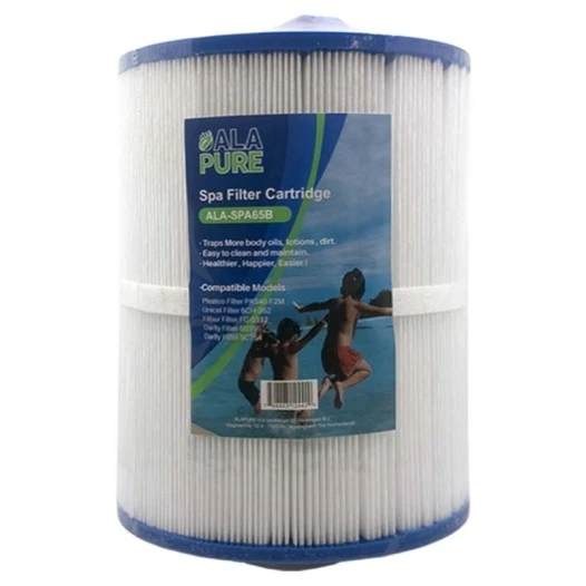 Filtro per acqua Alapure Spa compatibile con Pleatco PAS40-F2M