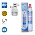 Filtro per l'acqua Icepure WFC2500A e testina filtrante per AP2-C401-G