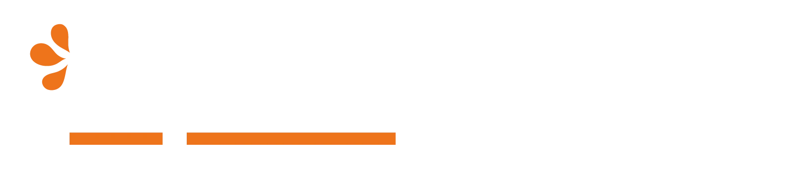 Espertodifiltri.it
