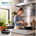 Filtro metallico Alapure compatibile con Electrolux 4055380804 470x169x9 mm