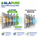 Filtro metallico Alapure compatibile con Franke 1330071330 300x252x9 mm