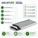 Filtro al carbone Alapure CleanAir compatibile con Bosch 17006837 / 11025805 / DSZ4551