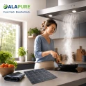 Filtro al carbone Alapure compatibile con Smeg FLT4 / 690073210