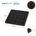 Filtro al carbone Alapure compatibile con Zanussi MCFB58ST / 9029865848 / MCFB58