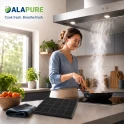 Filtro al carbone Alapure compatibile con Zanussi MCFB58ST / 9029865848 / MCFB58