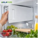 Porta per congelatore Alapure compatibile con Balay 00447344 / 447344